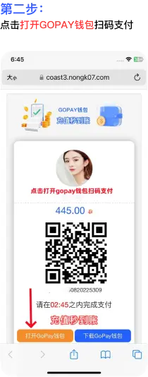 GoPay 平台充值教程：到账核验与账户安全步骤 2